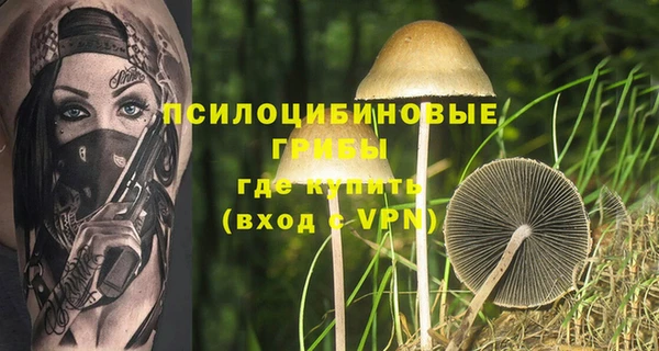стафф Пересвет