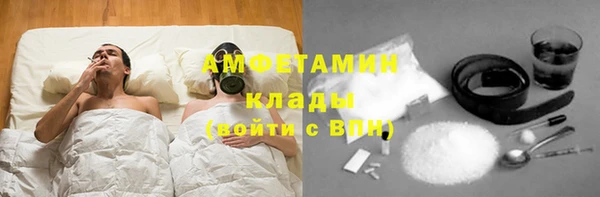 прущие грибы Пестово