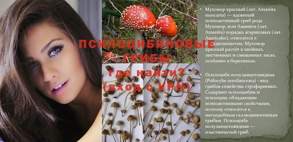 прущие грибы Пестово