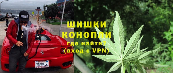 прущие грибы Пестово