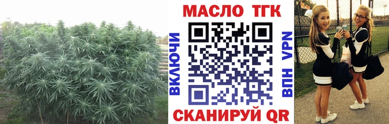 Купить  Кыштым  Дистиллят ТГК THC oil 